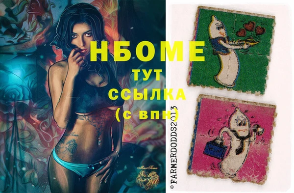 стаф Беломорск