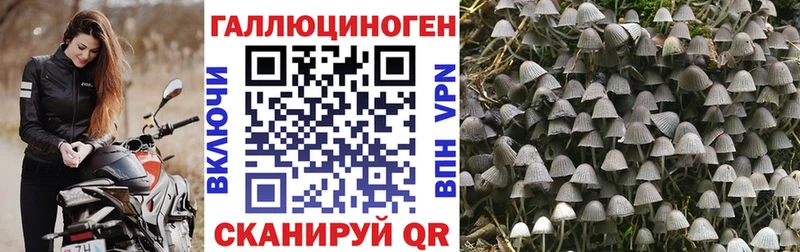 Галлюциногенные грибы мицелий  Лакинск 